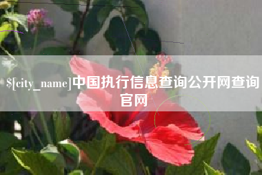 湖州中国执行信息查询公开网查询官网