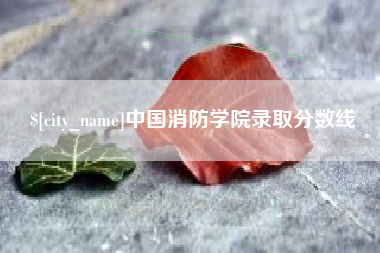 湖州中国消防学院录取分数线