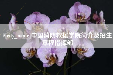湖州中国消防救援学院简介及招生章程指挥部