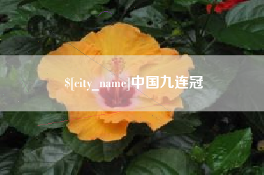 湖州中国九连冠