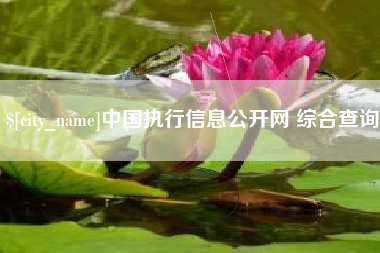 湖州中国执行信息公开网 综合查询