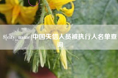 湖州中国失信人员被执行人名单查询