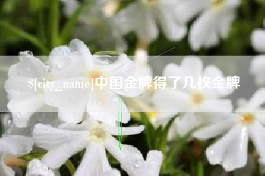 湖州中国金牌得了几枚金牌
