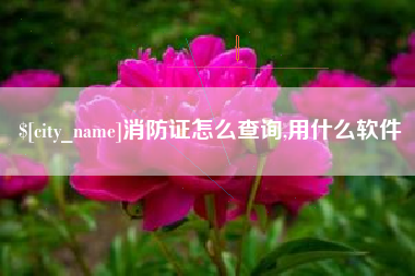 湖州消防证怎么查询,用什么软件