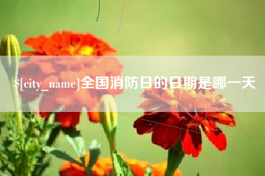 湖州全国消防日的日期是哪一天