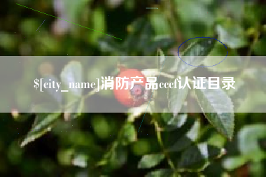 湖州消防产品cccf认证目录