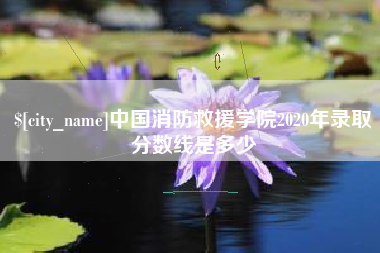 湖州中国消防救援学院2020年录取分数线是多少