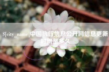 湖州中国执行信息公开网信息更新时间是多久