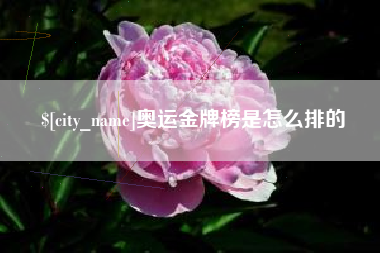 湖州奥运金牌榜是怎么排的