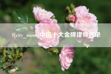 湖州中国十大金牌律师名单