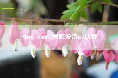 湖州消防设备ccc认证