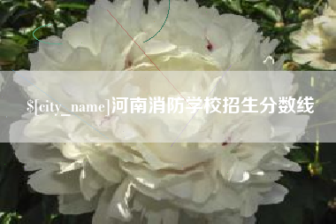 湖州河南消防学校招生分数线