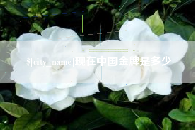 湖州现在中国金牌是多少