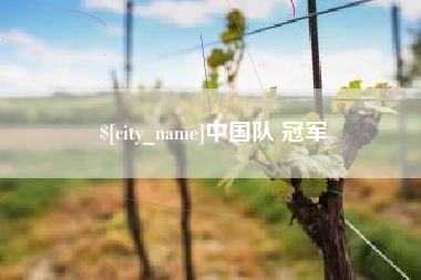 湖州中国队 冠军