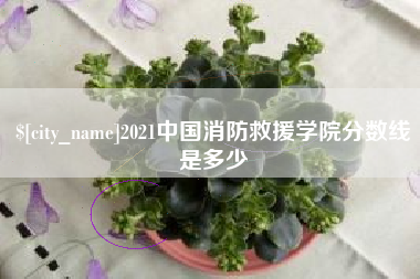 湖州2021中国消防救援学院分数线是多少