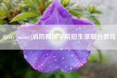 湖州消防救援学院招生录取分数线