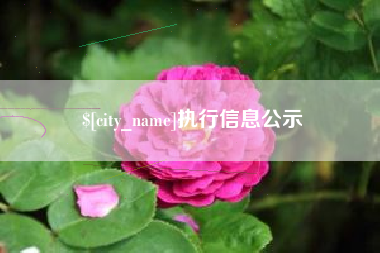 湖州执行信息公示