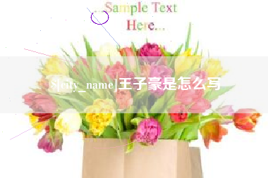 湖州王子豪是怎么写