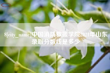 湖州中国消防救援学院2021年山东录取分数线是多少