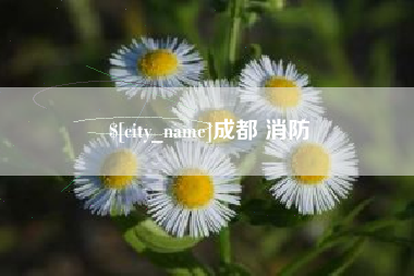 湖州成都 消防