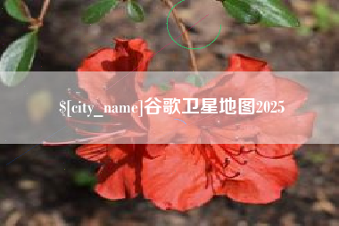 湖州谷歌卫星地图2025