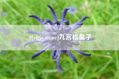 湖州九宫格盘子