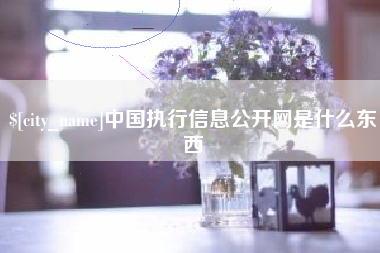 湖州中国执行信息公开网是什么东西