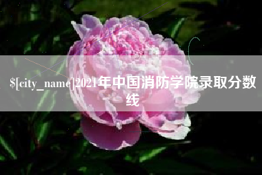湖州2021年中国消防学院录取分数线