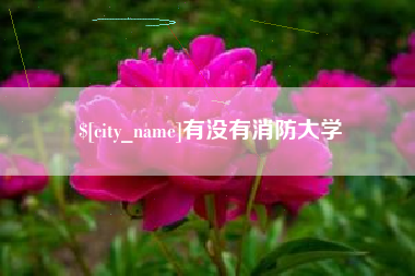 湖州有没有消防大学