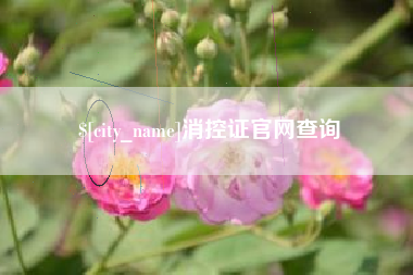 湖州消控证官网查询