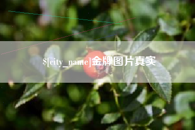 湖州金牌图片真实