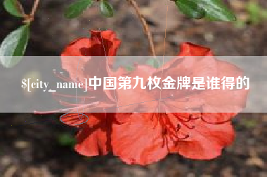 湖州中国第九枚金牌是谁得的