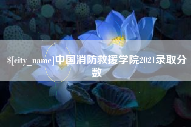 湖州中国消防救援学院2021录取分数