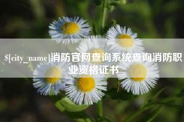 湖州消防官网查询系统查询消防职业资格证书