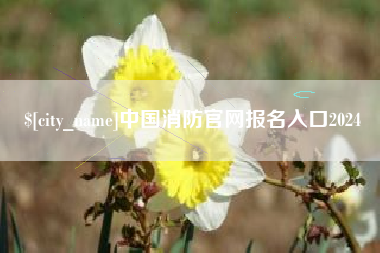 湖州中国消防官网报名入口2024