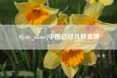 湖州中国已经几枚金牌