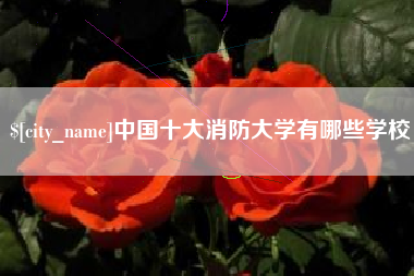 湖州中国十大消防大学有哪些学校
