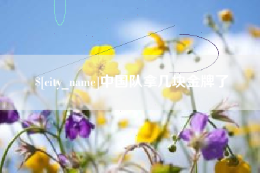 湖州中国队拿几块金牌了