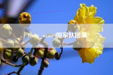 湖州国家队图案