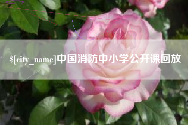 湖州中国消防中小学公开课回放