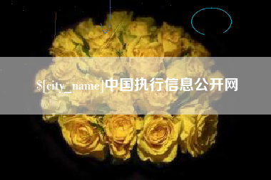 湖州中国执行信息公开网