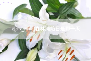 湖州森林消防日是哪一天