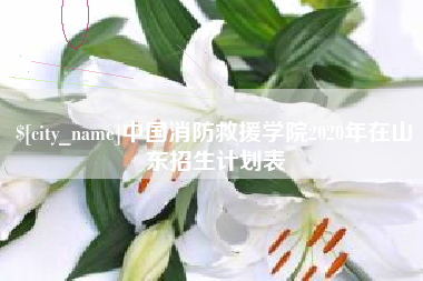湖州中国消防救援学院2020年在山东招生计划表