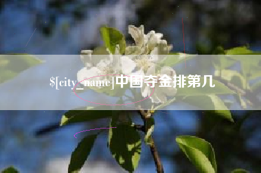 湖州中国夺金排第几