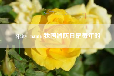 湖州我国消防日是每年的