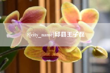 湖州邱县王子磊