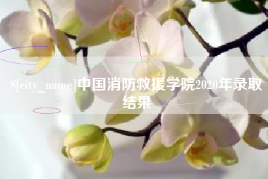 湖州中国消防救援学院2020年录取结果