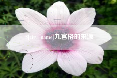 湖州九宫格的来源