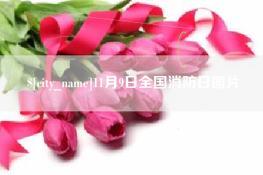 湖州11月9日全国消防日图片