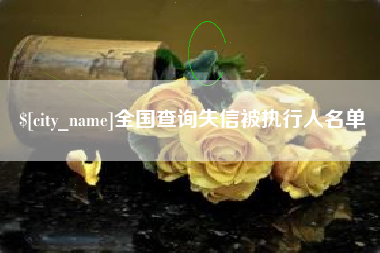湖州全国查询失信被执行人名单